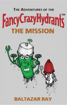      The Adventures of the FancyCrazyHydrants - The Mission