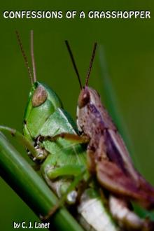      Confessions of a Grasshopper