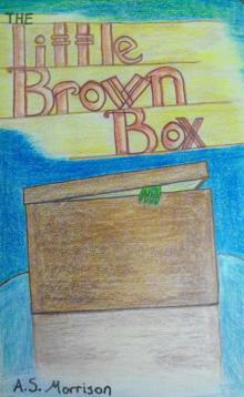     The Little Brown Box