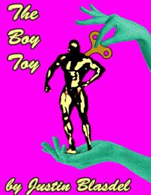      The Boy Toy