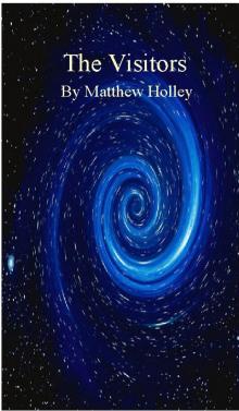     The Visitors (short story)