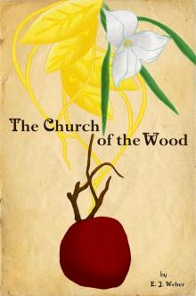      The Church of the Wood:  A Faerie Story