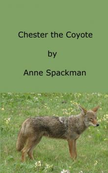      Chester the Coyote