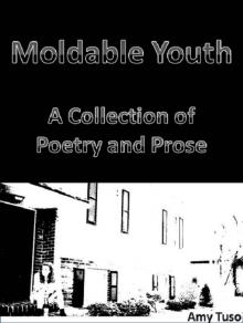      Moldable Youth: A Collection of Poetry and Prose