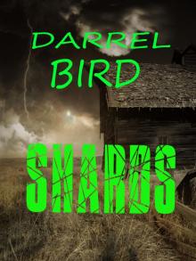     Shards