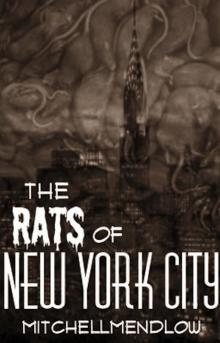      The Rats of New York City