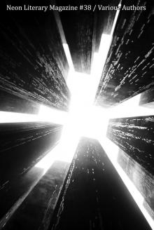      Neon Literary Magazine #38