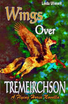      Wings Over Tremeirchson