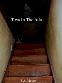      Toys In The Attic