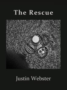      The Rescue