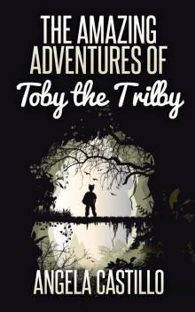      The Amazing Adventures of Toby the Trilby