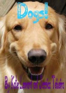      Dogs
