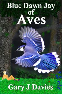     Blue Dawn Jay of Aves