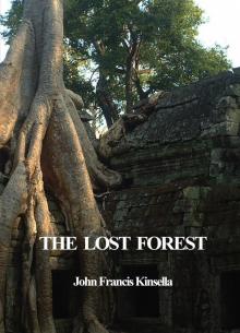      The Lost Forest