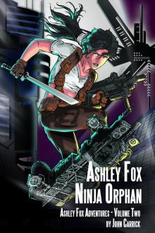      Ashley Fox - Ninja Orphan