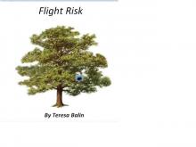      Flight Risk
