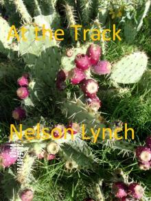      At the Track