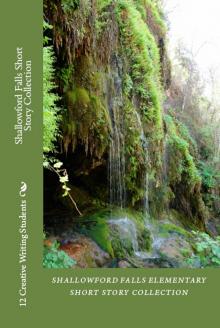      Shallowford Falls Short Story Collection