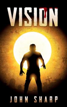      Vision