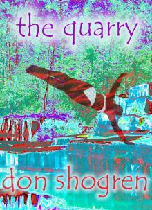      The Quarry