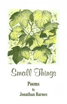      Small Things
