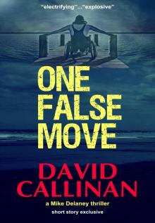      One False Move (a Mike Delaney thriller)