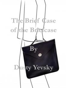      The Brief Case of the Briefcase