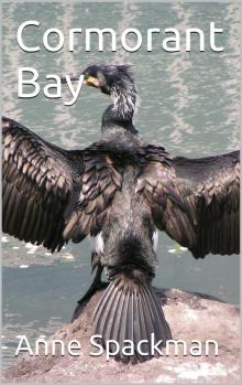      Cormorant Bay
