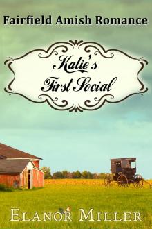      Fairfield Amish Romance: Katie's First Social