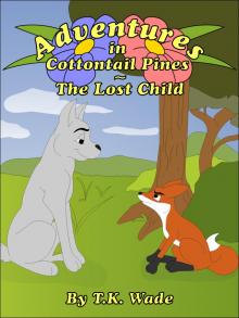      Adventures in Cottontail Pines - The Lost Child