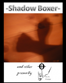      Shadow Boxer
