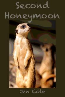      Second Honeymoon