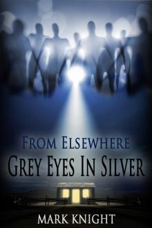      Grey Eyes In Silver