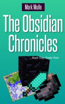      The Obsidian Chronicles, Book One: Ender Rain