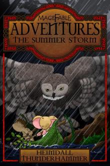      Magefable Adventures: The Summer Storm