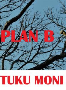      Plan B