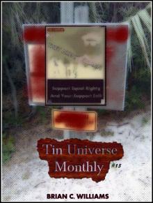      Tin Universe Monthly #15
