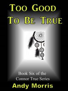      Too Good To Be True - Book Six of the Connor True Series