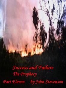      Success and Failure
