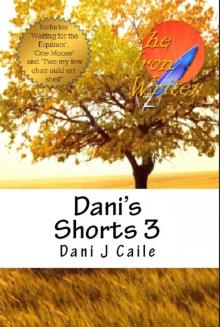      Dani's Shorts 3