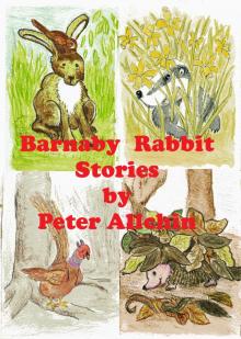      Barnaby Rabbit Stories