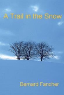      A Trail in the Snow