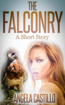      The Falconry, A Short Story
