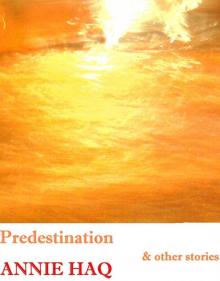      Predestination And Other Stories
