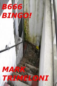      B666 Bingo!