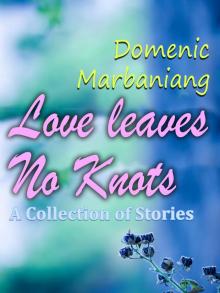      Love Leaves No Knots: A Collection of Stories