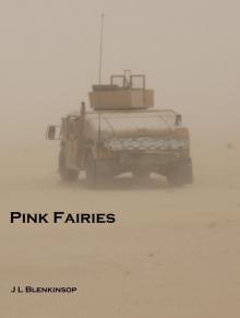      Pink Fairies