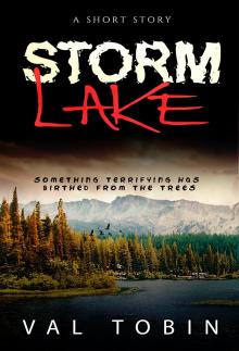      Storm Lake