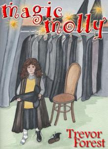      Magic Molly book one The Mirror Maze
