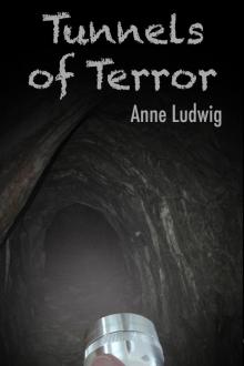      Tunnels Of Terror